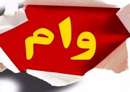 وعده وام ازدواج به جای پرداخت وام / پدیده « وام به خودی‌ها » تسهیلات بانکی را می‌بلعد