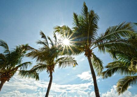 افزایش دما و شرجی در خوزستان