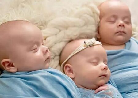 پرداخت ماهانه ۴.۴ میلیون تومان به خانواده‌های دارای چندقلو/ ارائه کمک هزینه «مراقب» به خانواده‌ها