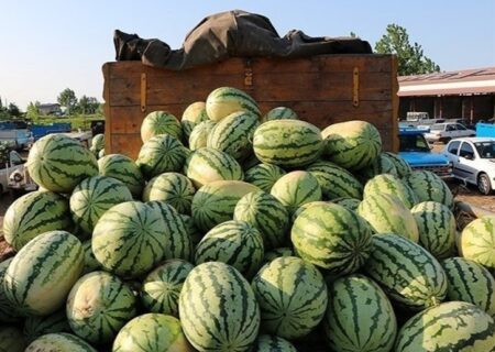 ممنوعیت‌ ناگهانی واردات ۴۵ محصول کشاورزی به عراق و اقلیم