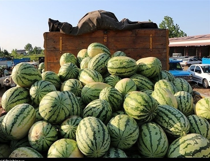 ممنوعیت‌ ناگهانی واردات ۴۵ محصول کشاورزی به عراق و اقلیم