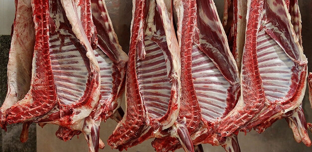 کمبود گوشت‌های وارداتی در بازار پایان می‌یابد؛ توزیع ۲۰۰ تن در روز