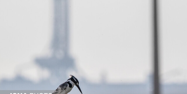 وضعیت «قرمز» هوا در ۵ شهر خوزستان