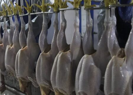 قیمت مصوب مرغ و تخم مرغ تا پایان سالجاری تغییر نمی‌کند