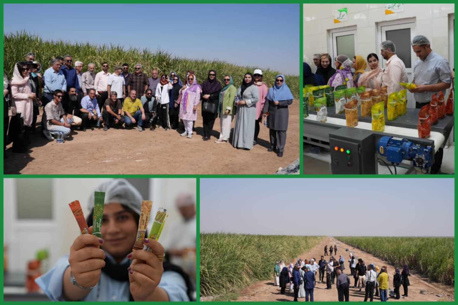 خوزستان میزبان هنرمندان در سومین شکرستان ادبی شد
