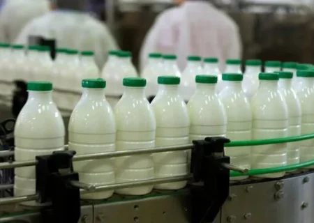 شیر گران شد