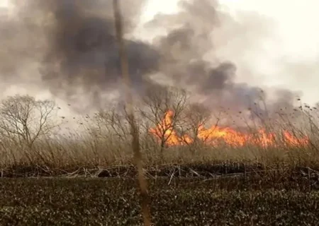 علت تداوم آتش سوزی در هورالعظیم مشخص شد