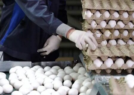 تخم مرغ دانه‌ای ۸ هزار تومان؛ افزایش قیمت باز هم ادامه دارد؟