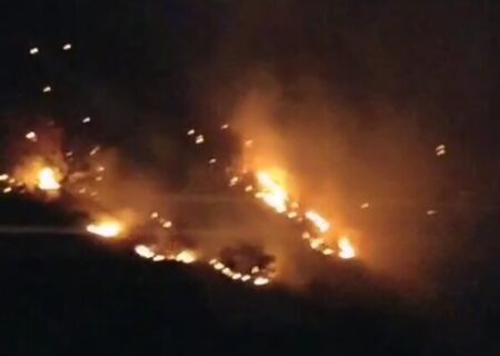 فاجعه زیست‌محیطی در اندیکا؛ بلوط‌های هزارساله طعمه حریق شدند