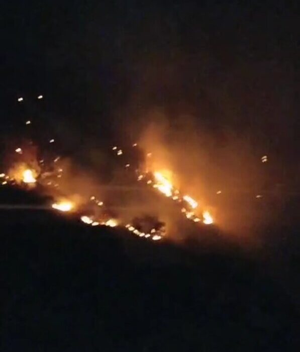 فاجعه زیستمحیطی در اندیکا؛ بلوطهای هزارساله طعمه حریق شدند