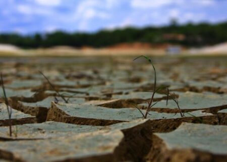ما دچار خشکسالی عقل و خرد هستیم/ تنها راه حل، مدیریت جمعیت است/ تا ۲۰ سال آینده باید ۳۵ درصد جمعیت کنار دریای عمان مستقر شود