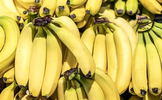 تکذیب توقف واردات موز/ واردات و صادرات محصولات کشاورزی طبق روال قبلی در حال انجام است