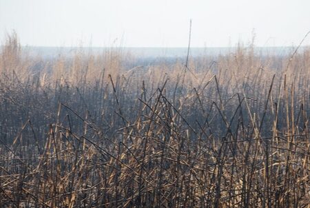 تغییر ساعت فعالیت مدارس و ادارات خوزستان تا پایان آبان بررسی می‌شود