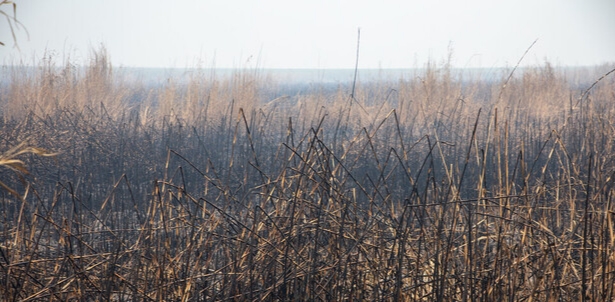 تغییر ساعت فعالیت مدارس و ادارات خوزستان تا پایان آبان بررسی میشود