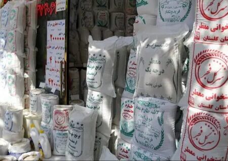 مافیا بازار برنج را در دست گرفته است / واردات برنج بی‌کیفیت، ضربه به مردم و نابودی کشاورزان داخلی