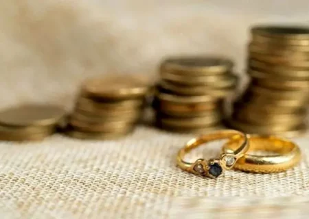 سخنگوی دولت: با طرح اصلاح قانون مهریه‌ مخالفت کردیم/‌ طرفدار اینترنت آزاد برای همه هستیم