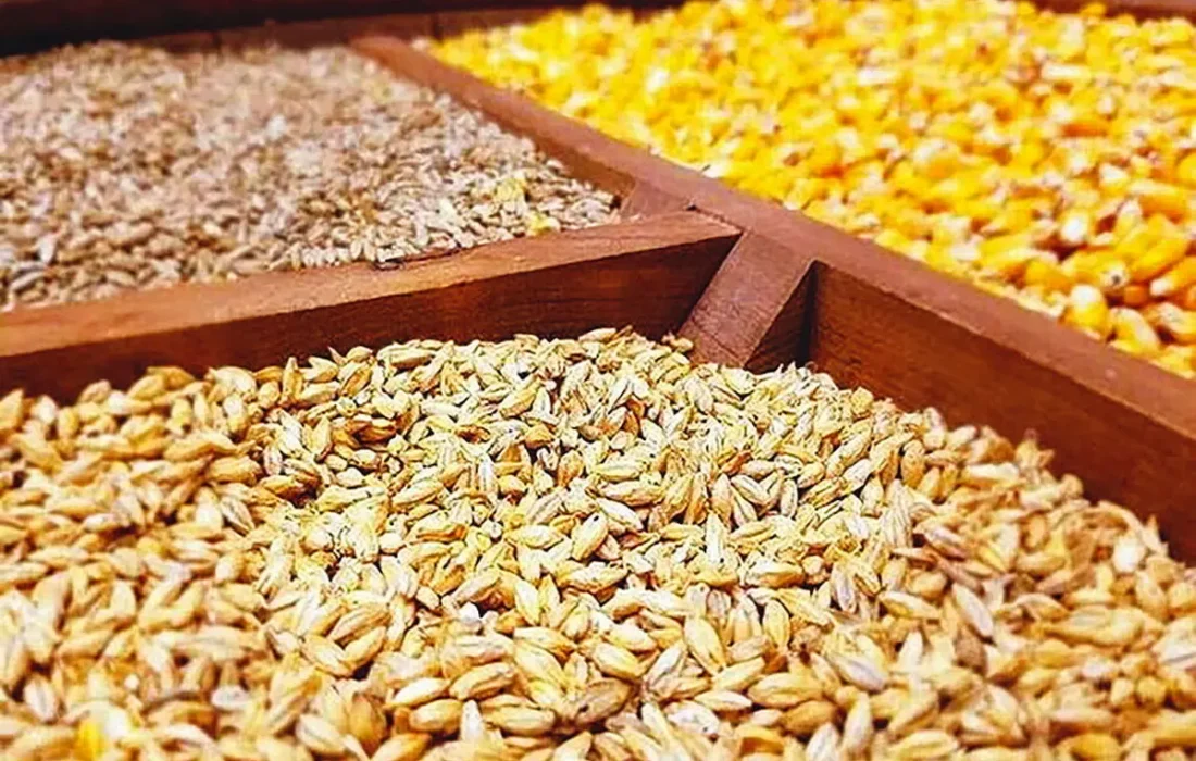 سامانه بازارگاه بستر فساد شد/ فروش نهادههای دامی به مرغداران با دو برابر قیمت