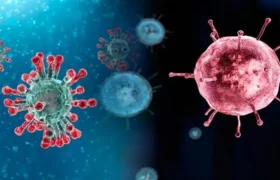 خطر جانی آنفولانزا از کرونا بیشتر است/ مبلغ بالا و بیمه نبودن واکسن آنفولانزا باعث شد به چنین وضعی دچار شویم