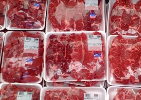 گرانی گوشت قرمز؛ نتیجه فقدان حکمرانی در زنجیره تولید و توزیع و بی‌کیفیتی نظارت‌ها