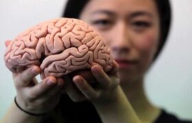 چه کنیم مغزمان جوان‌ بماند؟