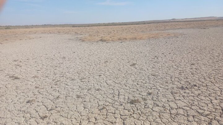 خشکی کامل تالاب بندعلیخان/ آب رودخانه شور به‌جای ورامین راهی قم می‌شود