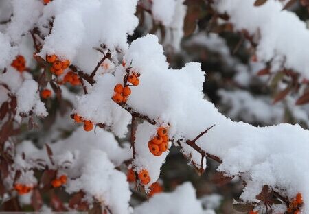 نفوذ «هوای سرد قطبی» به ایران/ تهران چه‌ زمانی برفی می‌شود؟