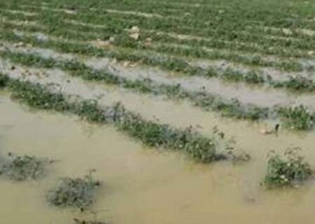 خسارت ۱۸۰۰ میلیارد تومانی سیلاب به بخش کشاورزی خوزستان