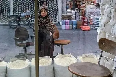 ارز ترجیحی برنج حذف شد/ جزئیات قیمت جدید برنج هندی و پاکستانی