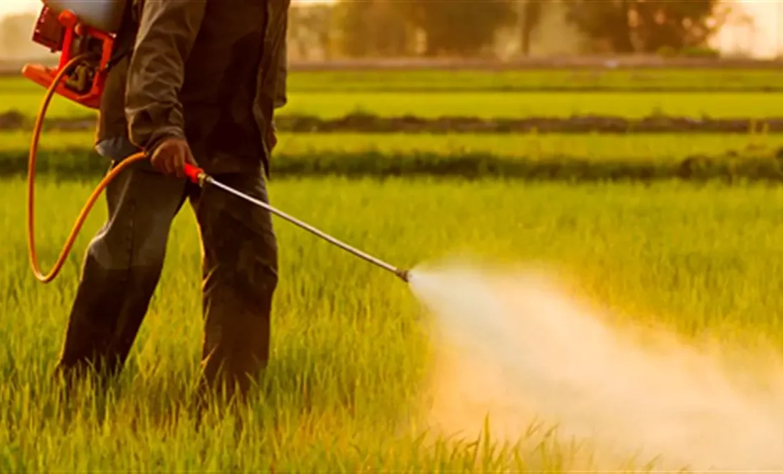 سموم پرریسک از چرخه مصرف کشاورزی حذف می‌شود