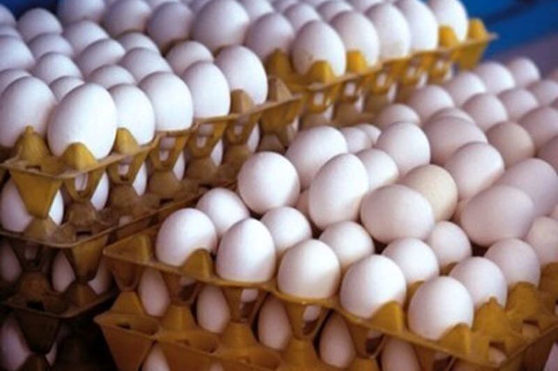 قیمت تخم مرغ در ایران به قیمت دبی نزدیک شد / مگر حقوقها دلاری است؟!