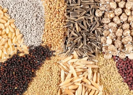 قیمت نهاده‌ها پس‌ از حذف ارز ترجیحی ۴ برابر شد