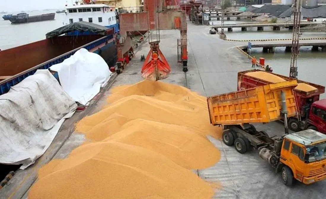 شوک قیمتی گوشت قرمز و مرغ با حذف ارز ترجیحی نهاده‌های دامی