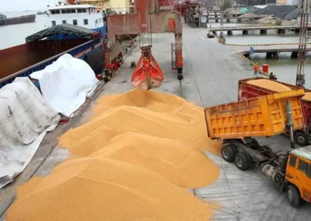 شوک قیمتی گوشت قرمز و مرغ با حذف ارز ترجیحی نهاده‌های دامی